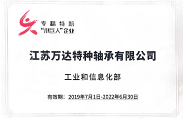 专精特新小巨人企业
